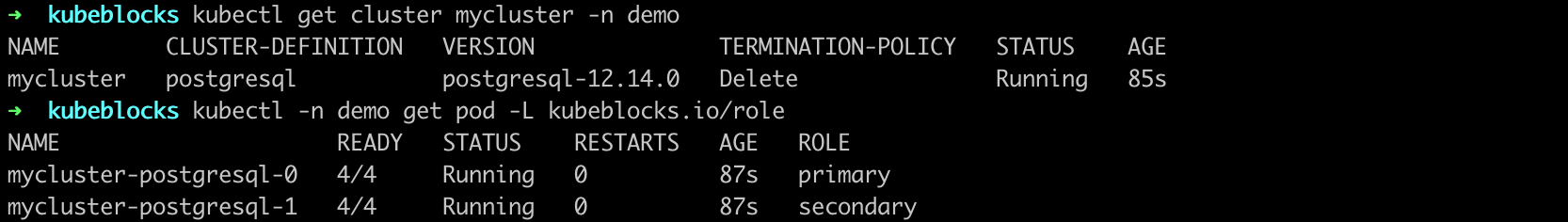 PostgreSQL 集群原始状态