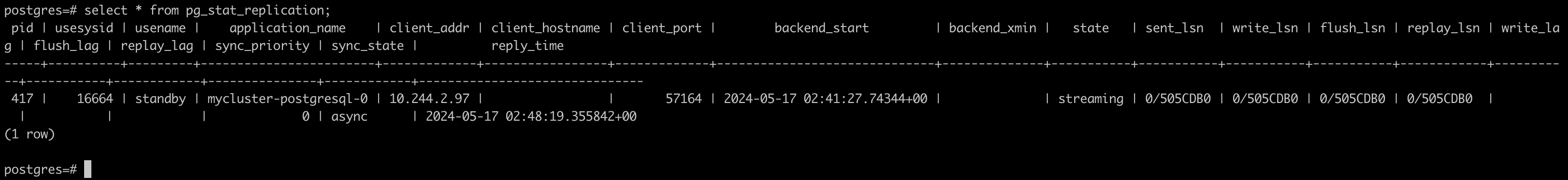 PostgreSQL 集群信息