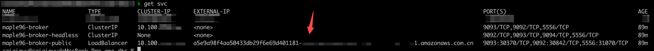 gain ELB address cross vpc