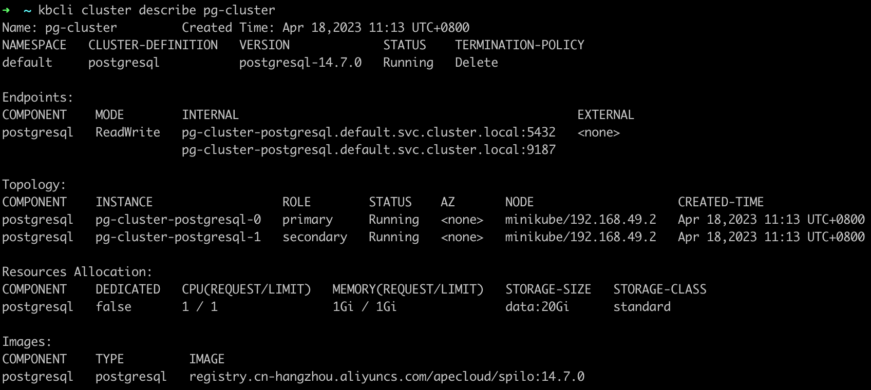 PostgreSQL 集群原始状态